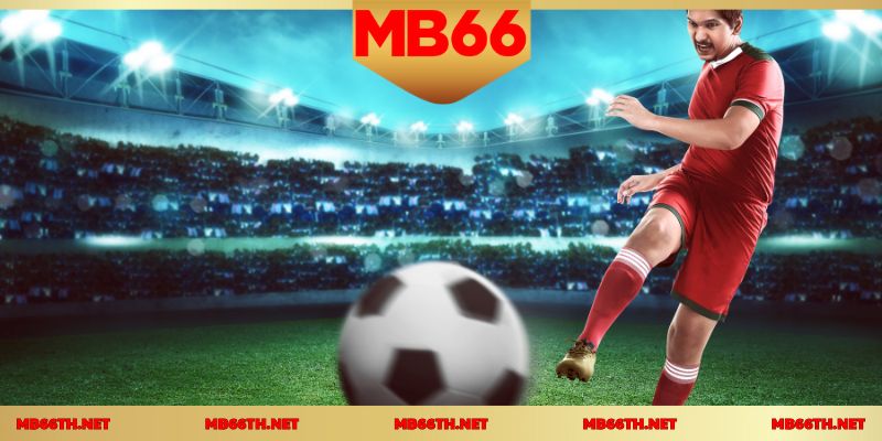 การจัดการเงินทุนอย่างชาญฉลาดเพื่อชัยชนะ