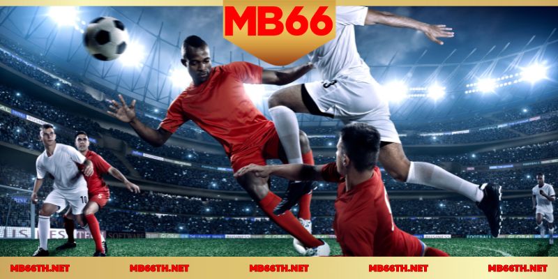 วิเคราะห์ประวัติการแข่งขันเพื่อเพิ่มโอกาสชนะ