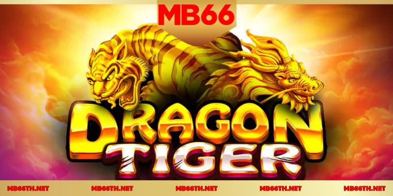 ภาพรวมของโต๊ะเกมไพ่เสือมังกรยอดนิยมที่ MB66